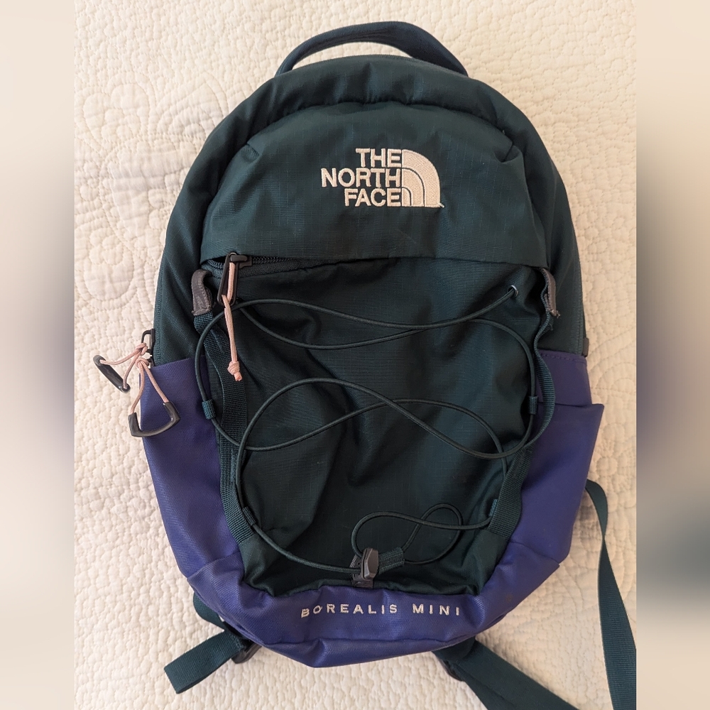 THE NORTH FACE 10L Mini Borealis Everyday Backpack Ponderosa Green/Lapis